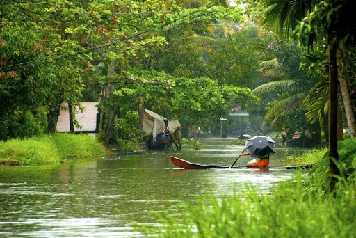 Monsoon transforms Alleppey into a lush green paradise with her deluge of cool showers. The rains vary from moderate to heavy, particularly in July and August, but by September, the downpours become less frequent, creating more pleasant weather.