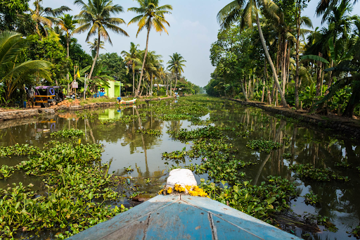 Alleppey Captivating Backwaters