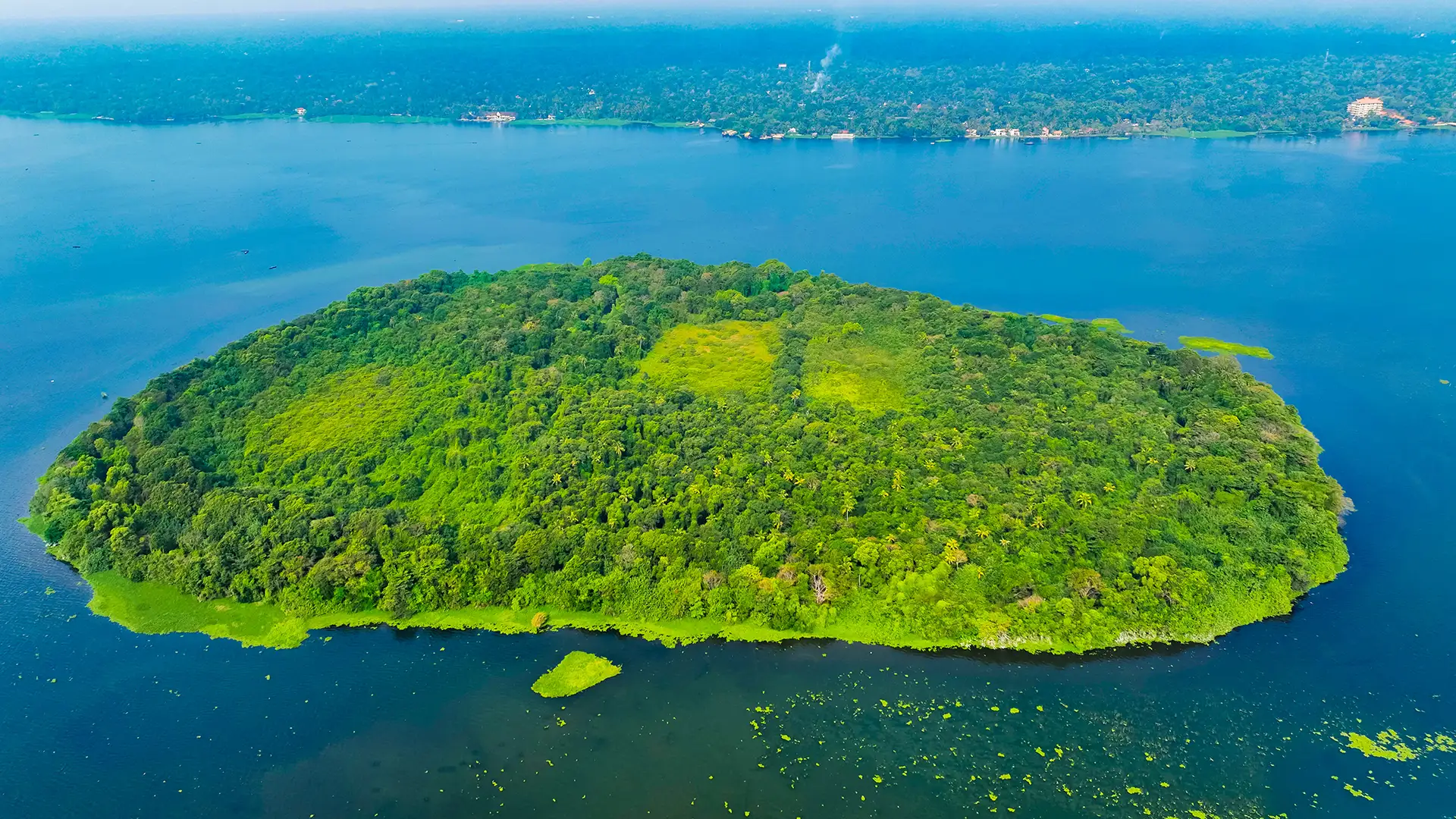 For avid birdwatchers, Pathiramanal Island in the Alappuzha district presents the best option for this interesting hobby. Spanning 10 acres on the picturesque Vembanad Lake, this lush green island is the preferred habitat for hundreds of rare migratory birds who fly down here from all around the world.