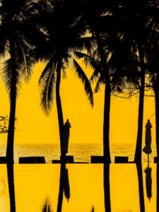 Alleppey Beach Attractions