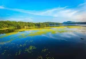 Punnamada Lake Kerala — Why is it so special?