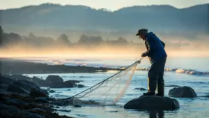 Experience the serene beauty of Kerala's coastline as you join the local fishermen in their daily pursuit. Witness their skill and dedication, a true testament to their heritage.